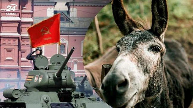 we.ua - Для параду – танки, а для фронту – віслюки: у РНБО висміяли урочистості у Москві на 9 травня