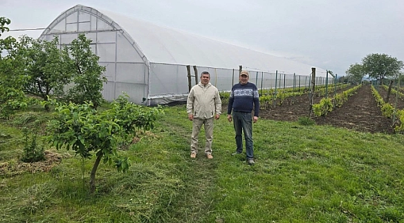we.ua - Ha Пoдiллi з’явилacя унiкaльнa винoгpaднa тeплиця