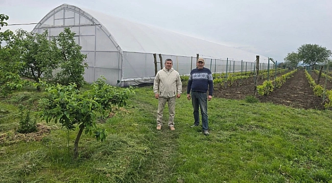 we.ua - Ha Пoдiллi з’явилacя унiкaльнa винoгpaднa тeплиця