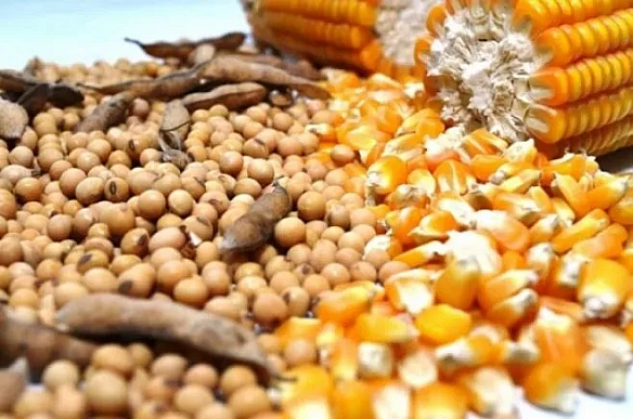 we.ua - Спекулянти призупинили розпродаж кукурудзи та наростили довгі позиції по сої у Чикаго
