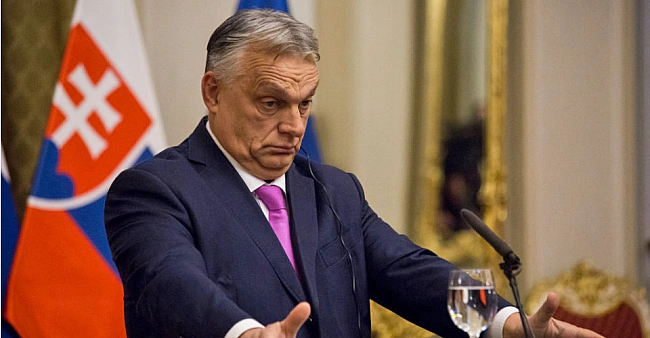 we.ua - Це не була узгоджена операція з Росією: професор УжНУ Тодоров про розвідку Угорщини, яка шпигувала в Україні
