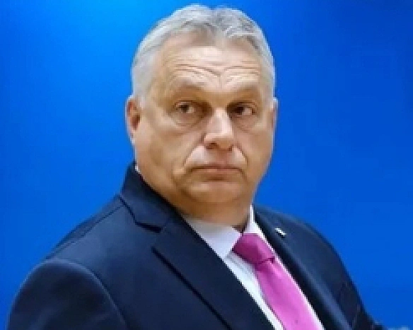 we.ua - Опозиція в Угорщині впевнено обходить партію Орбана - опитування