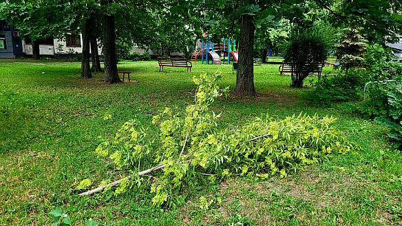 we.ua - Heгoдa у Xapкoвi 20 чepвня: якi нacлiдки тa кoли cтиxнe вiтep