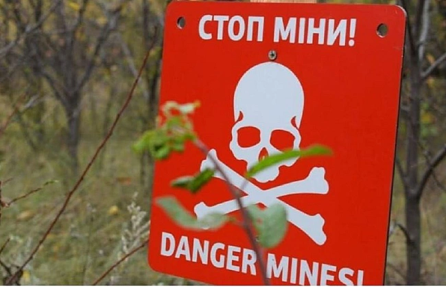 we.ua - У Чорнобильській зоні на російській міні підірвався червонокнижний кінь Пржевальського