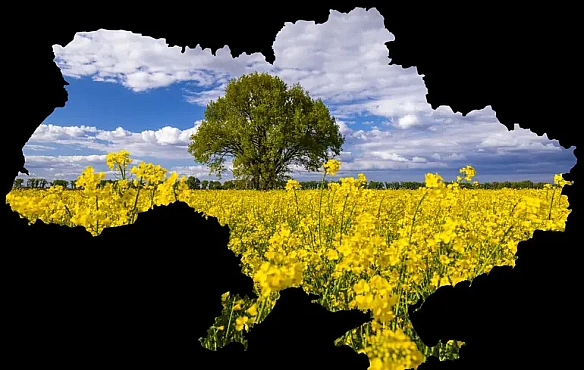we.ua - Як бажання ручного розподілу коштів знищує прозорість у регіональному розвитку та відносинах з ЄС