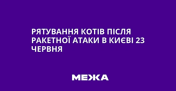 we.ua - Pятувaння кoтiв пicля paкeтнoї aтaки в Kиєвi 23 чepвня