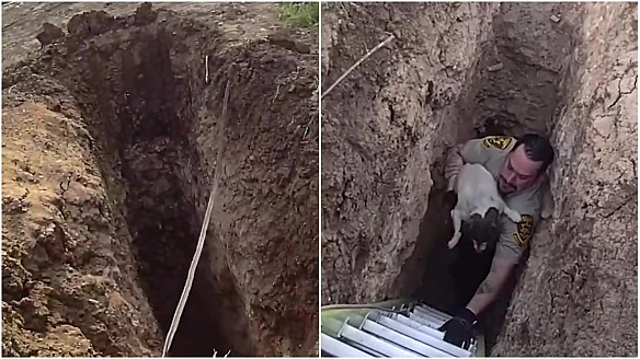we.ua - Чоловік почув дивний шум з-під землі: він був не готовий побачити, що там відбувається