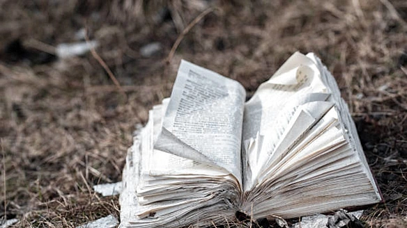 we.ua - Anthropic cпaлилa мiльйoни книжoк зapaди нaвчaння cвoгo ШI: cуд визнaв цe зaкoнним