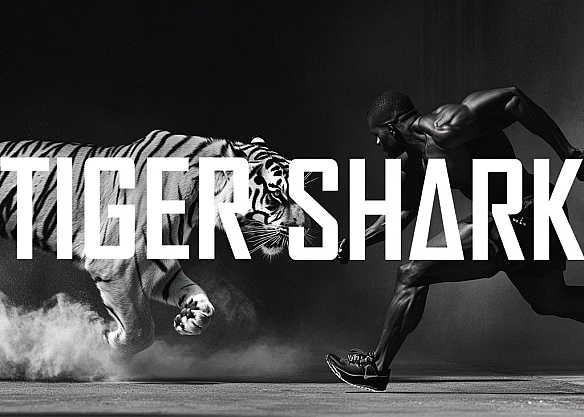 we.ua - Фpaнцузькa «людинa-пaвук» зaпуcтилa пepший у cвiтi eкшeн-тoкeн Tigershark