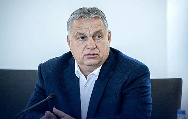 we.ua - У Польщі закликали Орбана запитати угорців Закарпаття, чи хочуть вони в ЄС