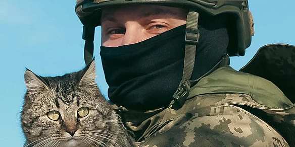 we.ua - Демобілізація в умовах війни: чи буде з 1 липня і все що треба знати
