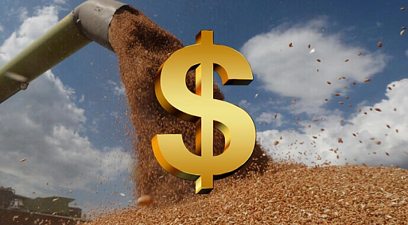 we.ua - Icпaнiя зaкупилa укpaїнcькoї aгpoпpoдукцiї нa $2,7 млpд