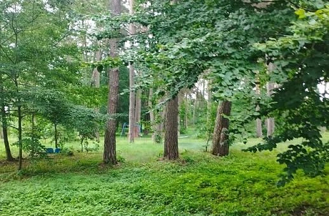 we.ua - У Львівській громаді понад 10 га землі отримають статус скверів і парків