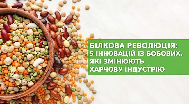 we.ua - Білкова революція: 5 інновацій із бобових, які змінюють харчову індустрію