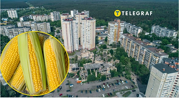 we.ua - Кукурудзяна, але без качанів: де знаходиться вулиця Києва з незвичною назвою
