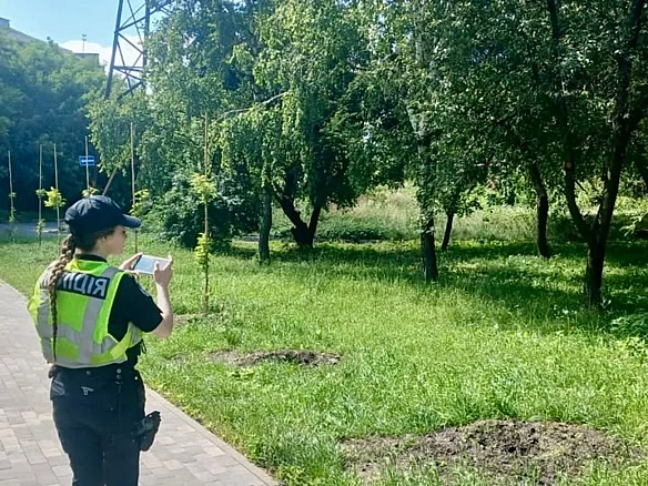 we.ua - У Києві викрали сакури, висаджені на честь загиблих медійників