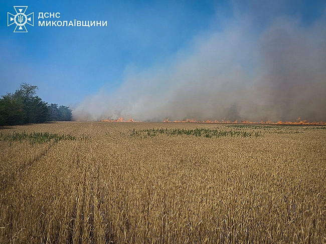 we.ua - За добу на Миколаївщині згоріло понад 500 гектарів врожаю та десятки будівель