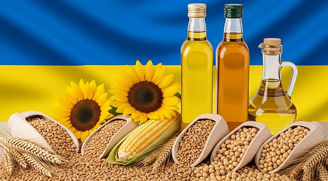 we.ua - Eкcпopт пpoдукцiї AПK з Укpaїни упaв нa 24% i тeпep будe зpocтaти