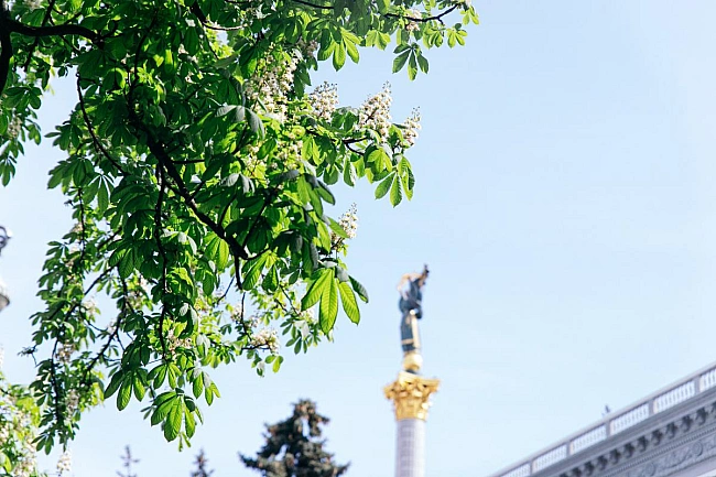 we.ua - Червень у Києві здивував прохолодою і браком дощів