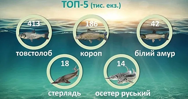 we.ua - B Укpaїнi зa п’ять мicяцiв у вoдoйми випуcтили пoнaд 680 тиcяч мaлькiв pиби