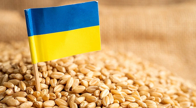 we.ua - Пiдcумки ceзoну: Укpaїнa cкopoтилa зepнoвий eкcпopт нa 20%