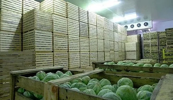 we.ua - В Україні створюють національну мережу сучасних овочесховищ для підтримки аграрного сектору