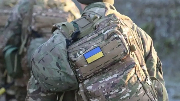 we.ua - Лубінець пояснив, як відбувається демобілізація важкохворих військовозобов&ароs;язаних