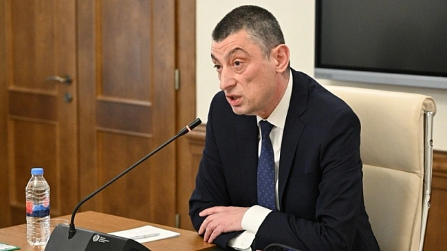 we.ua - Грузія: парламент позбавив мандатів депутатів партії експрем’єра Ґахарії