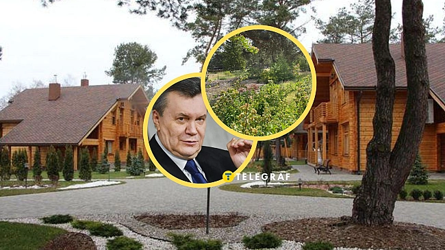we.ua - Від елітних будинків не залишилось нічого: як зараз виглядає Шацьке Межигір'я Януковича і що там досі охороняють
