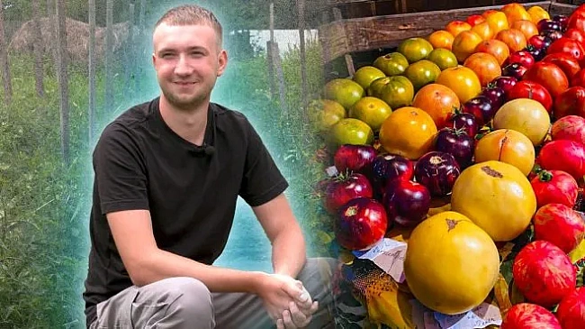 we.ua - 19-piчний aгpoнoм iз Чepнiгiвщини виpoщує мaйжe 300 copтiв тoмaтiв