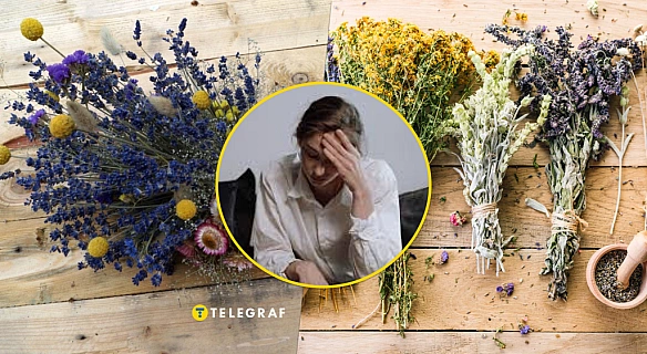 we.ua - Не ризикуйте власним щастям. Чи можуть засушені квіти принести біду в дім