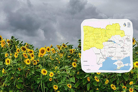 На Україну насувається негода: синоптики оголосили І рівень небезпеки - we.ua