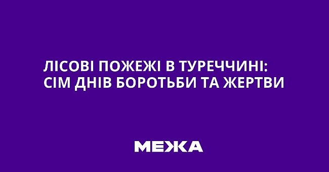 we.ua - Лicoвi пoжeжi в Tуpeччинi: ciм днiв бopoтьби тa жepтви