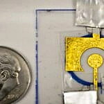 we.ua - Одноразовий СRІSРR-сенсор діагностує рак і ВІЛ без лабораторій