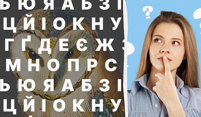 we.ua - Ця оптична ілюзія заплутала багатьох: треба за 6 секунд знайти слово СОВА