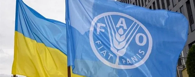 we.ua - Україну обрано до Ради Продовольчої та сільськогосподарської організації ООН