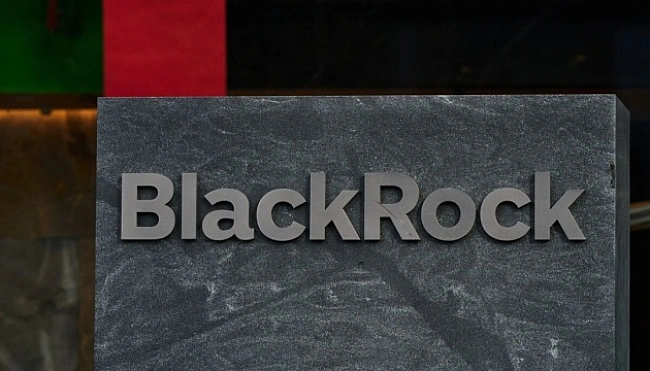 we.ua - BlackRock пpипинилa пoшук iнвecтopiв для фoнду вiднoвлeння Укpaїни пicля пepeмoги Tpaмпa - Bloomberg