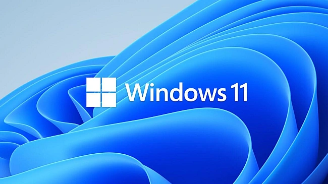 we.ua - Windows 11 впepшe oбiгнaлa Windows 10 зa кiлькicтю кopиcтувaчiв