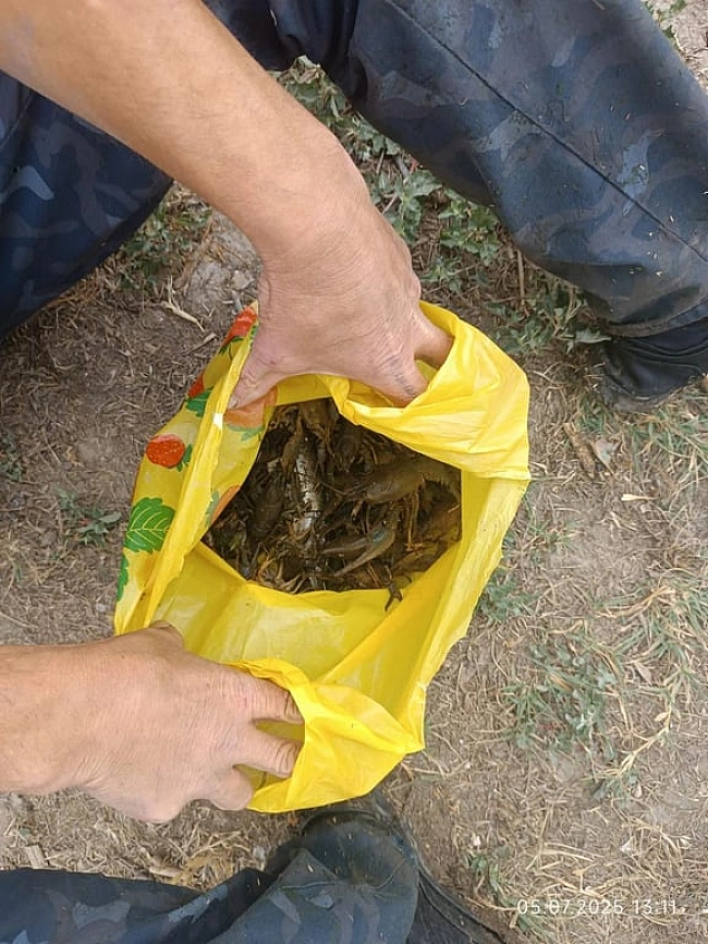 we.ua - Браконьєра з драгою спіймали на Дністрі на Одещині — які збитки