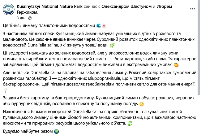 we.ua - На Одещині лиман зацвів рожевим — вражаючі фото