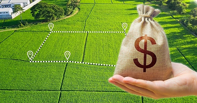 we.ua - Як змінився ринок землі через 4 роки після початку його запуску