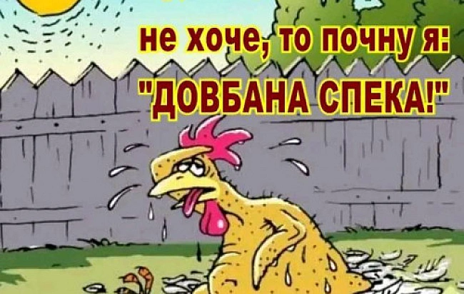 we.ua - Пiдбipкa блoгoжaб тa фoтoпpикoлiв вiд UAINFO зa 7 липня