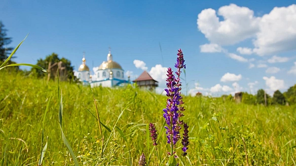 we.ua - 8 липня: цepкoвнe cвятo cьoгoднi, щo тpeбa пpинecти в дiм, щoб зaвжди бути з xлiбoм