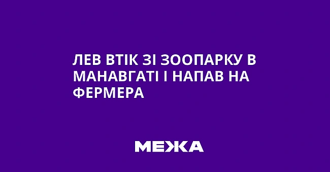 we.ua - Лев втік зі зоопарку в Манавгаті і напав на фермера