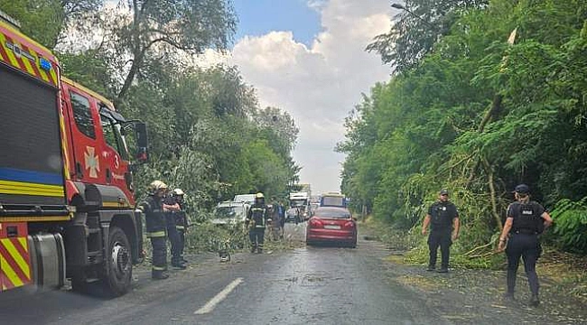 we.ua - На Буковині знеструмлено 2 підстанції внаслідок грози та буревію