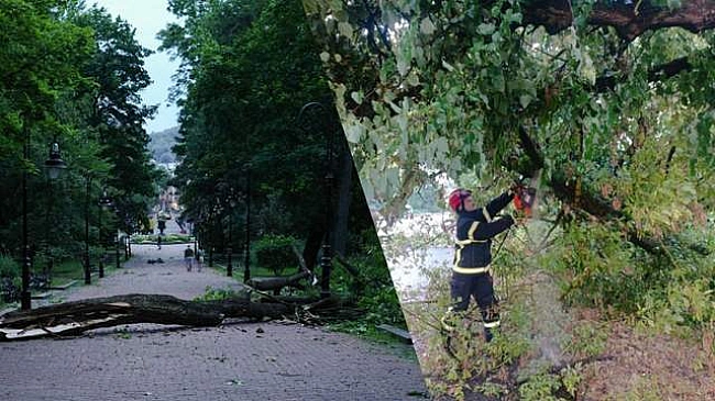we.ua - Наслідки негоди на Заході: тисячі абонентів залишились без світла, повалено десятки дерев