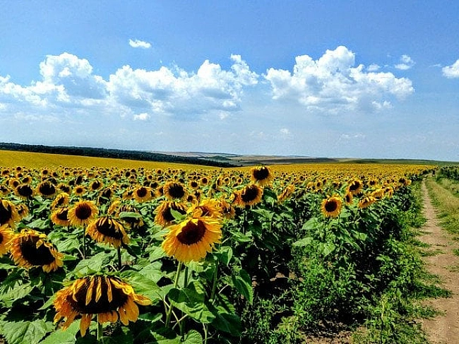 we.ua - Літня спека і короткочасний дощ: прогноз погоди на 7 липня