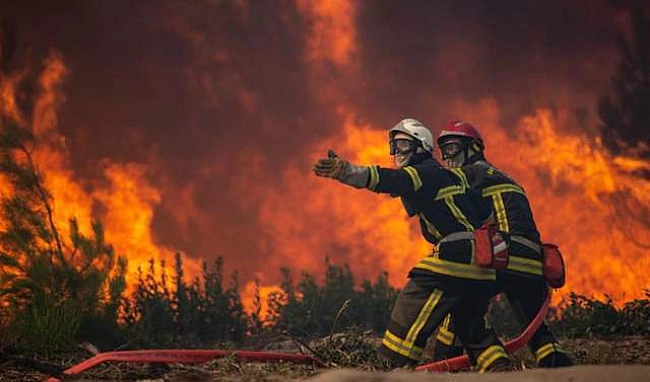 we.ua - Один з найбільш завантажених аеропортів Франції закрили через лісові пожежі: вогонь поширюється