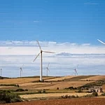 we.ua - Морська вітроенергетика може відновити екосистеми