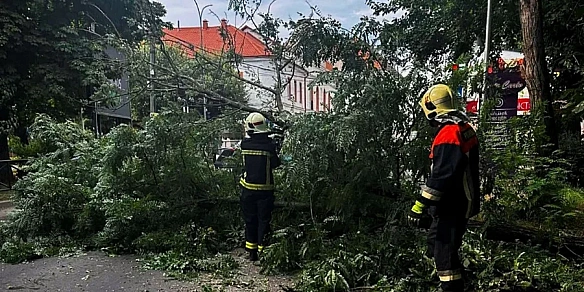 we.ua - Повалені дерева та знеструмлення. Рятувальники показали наслідки негоди на заході України — фото